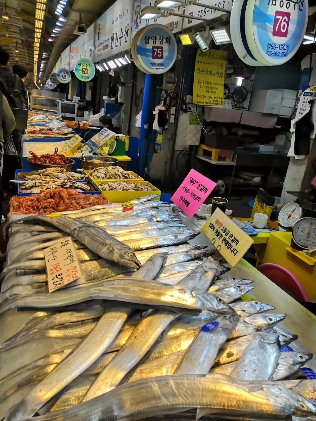 在济州岛发呆的日子,济州岛散心