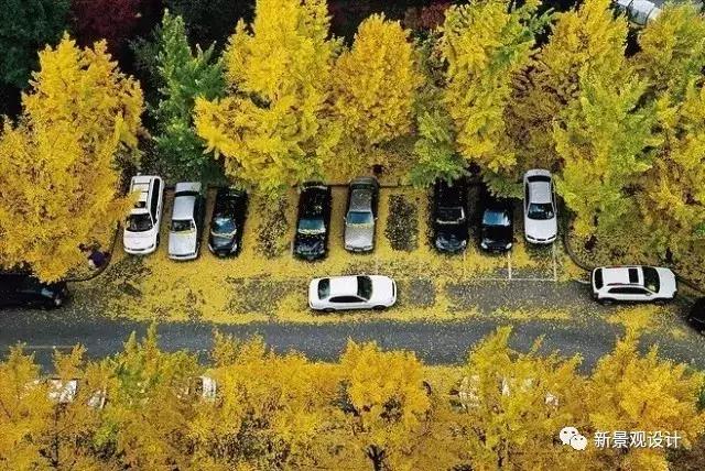 对停车场有什么好的建议,有趣的停车场指引