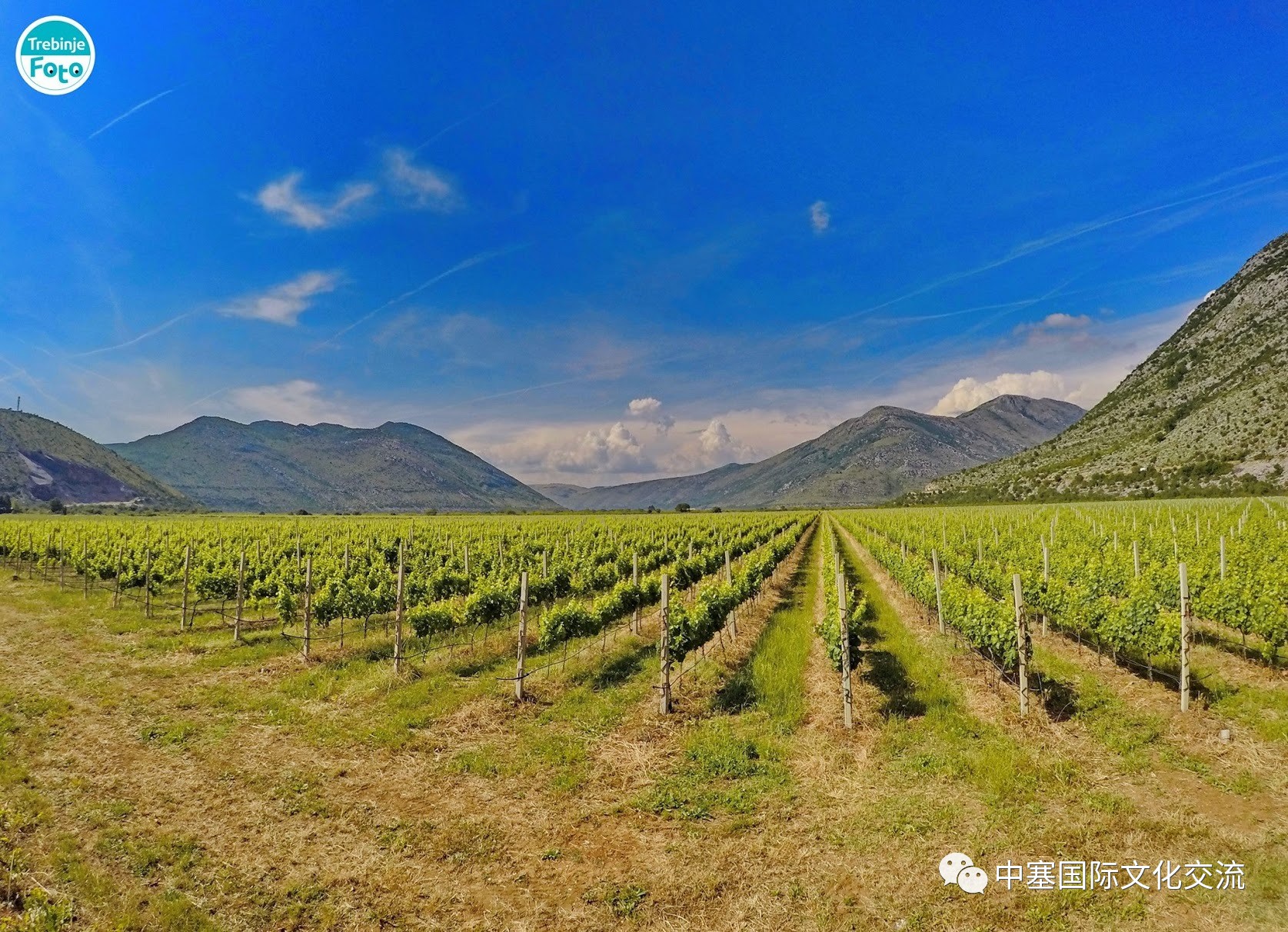 连巨星政要都亲睐的修道院葡萄酒庄你还不赶紧的｜尽在波黑福尔多