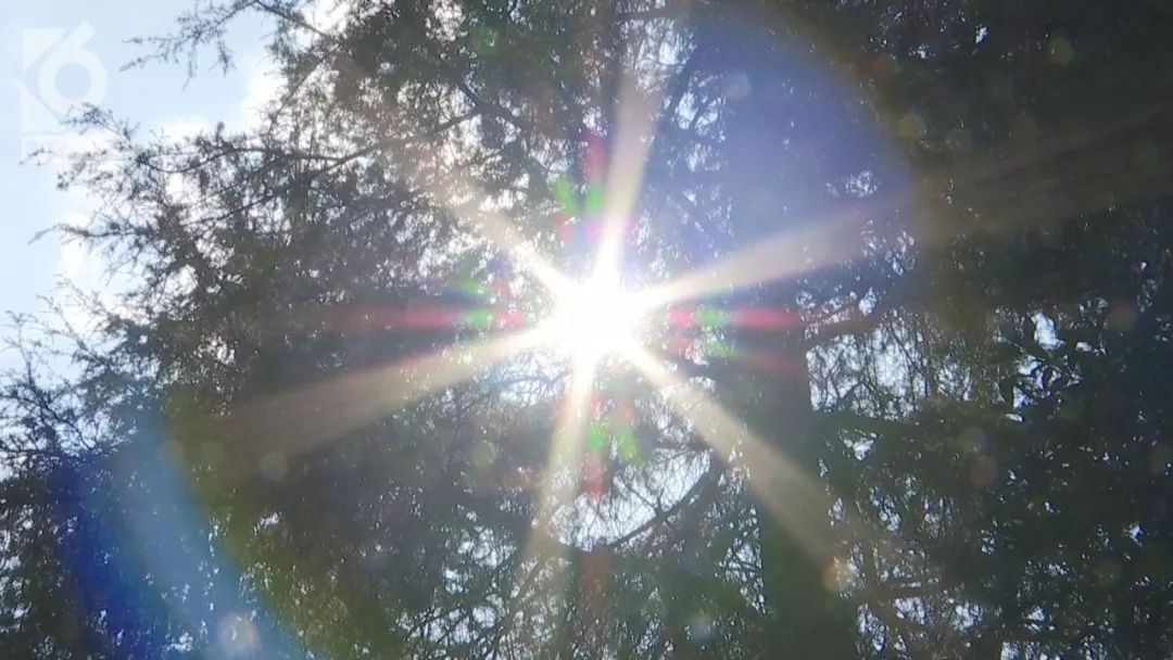 北方人在南方卖雪,北方人卖冰