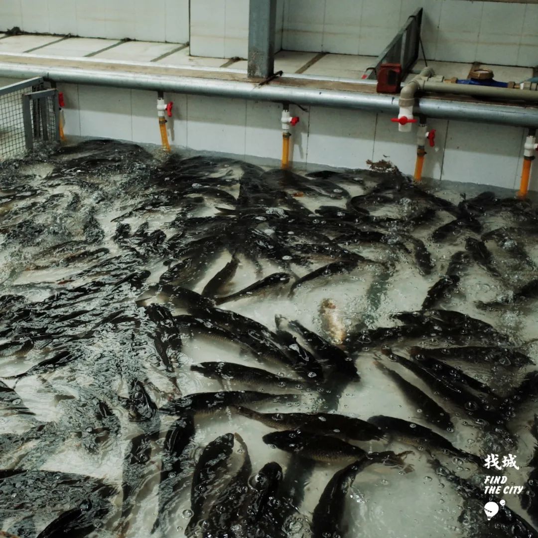 南宁最好的批发市场,南宁最便宜的家具批发市场在哪里