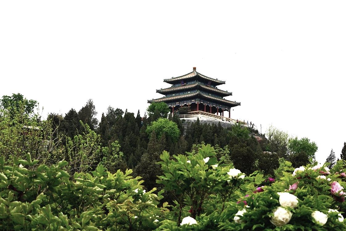 李静纯绘本,李静纯教授