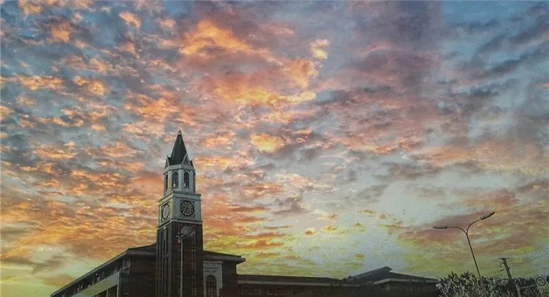 揭秘丨会玩,更会学!位于城北的这所七系学校,你了解多少?