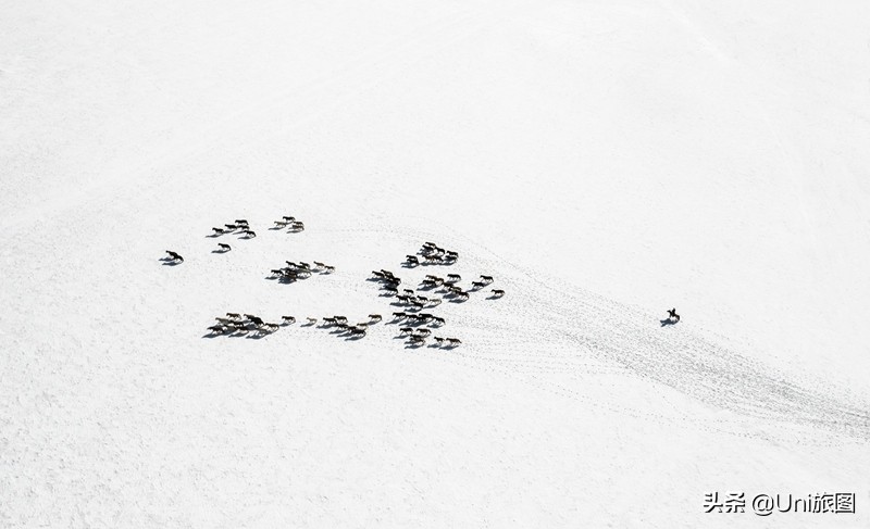 无人机航拍最佳拍摄地,四月美景航拍