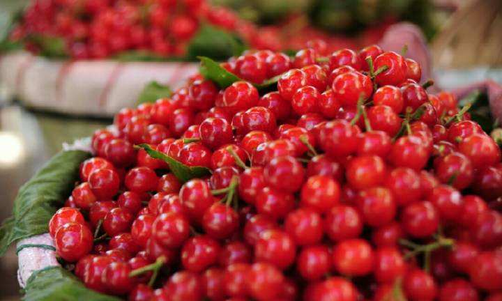 好吃到惊艳的特色攀枝花水果,攀枝花现在当季水果有哪些