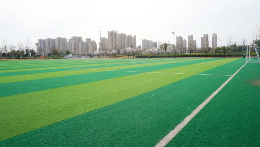 郑州免费游玩公园推荐,郑州新公园开放了吗