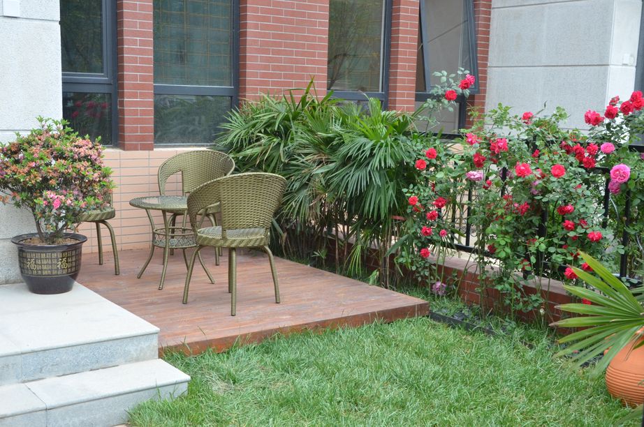 小院生活烟火气息北京,小院生活静谧而惬意