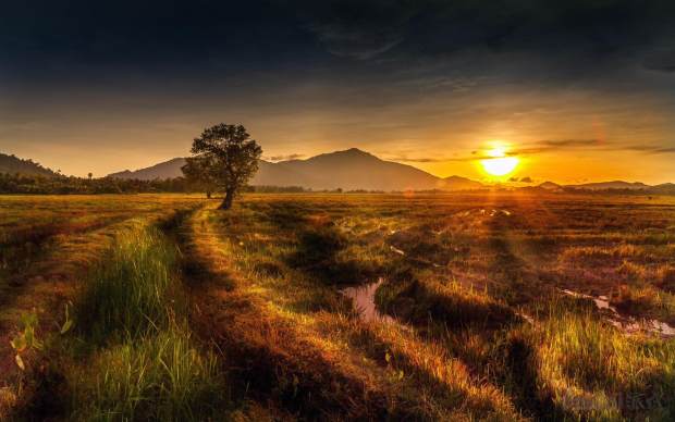 做淘宝的经验和感悟,做淘宝人的心态和感悟