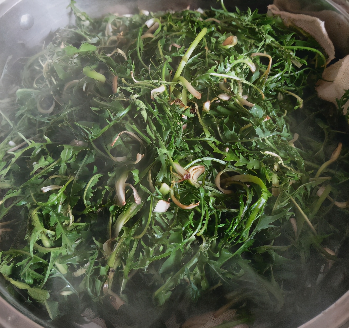 蒲公英茶怎么晾晒,蒲公英茶怎样晾晒效果好