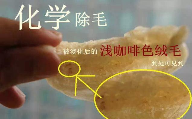 燕窝真假用什么方法鉴别,燕窝真假鉴别方法