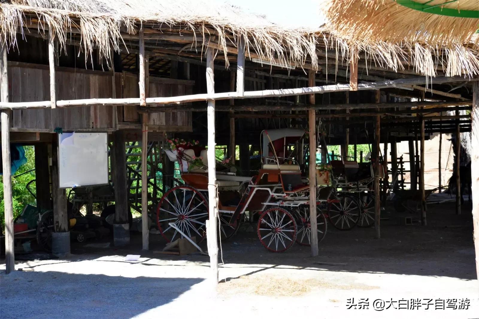 泰国风情之旅完整版,泰国风情记