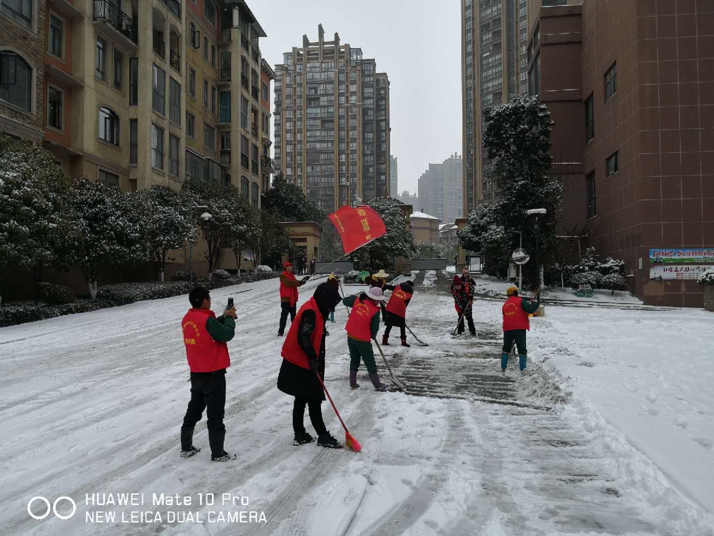 金华园社区的雪中送“暖”记
