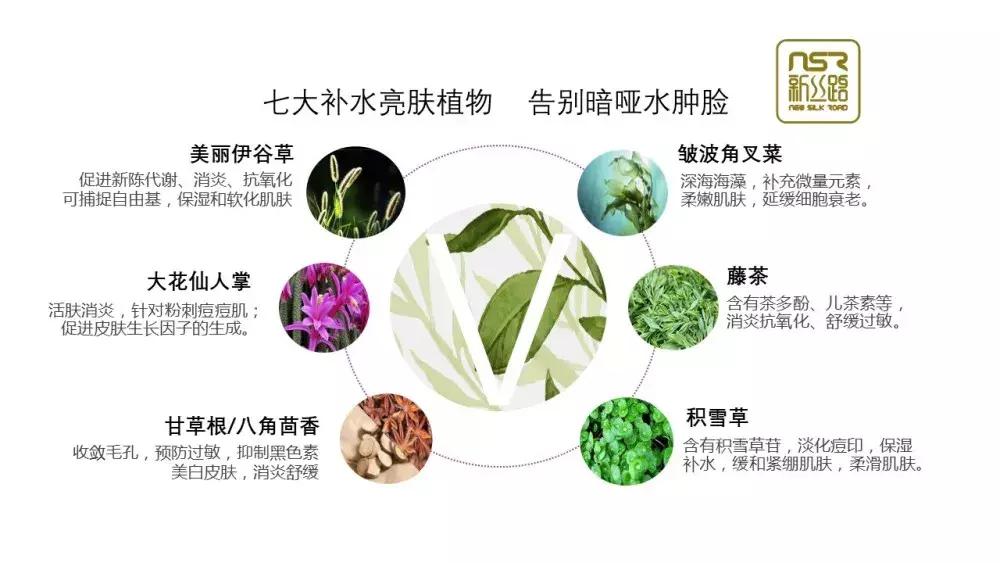 3.8NSR▏揭开女神的“V”秘密