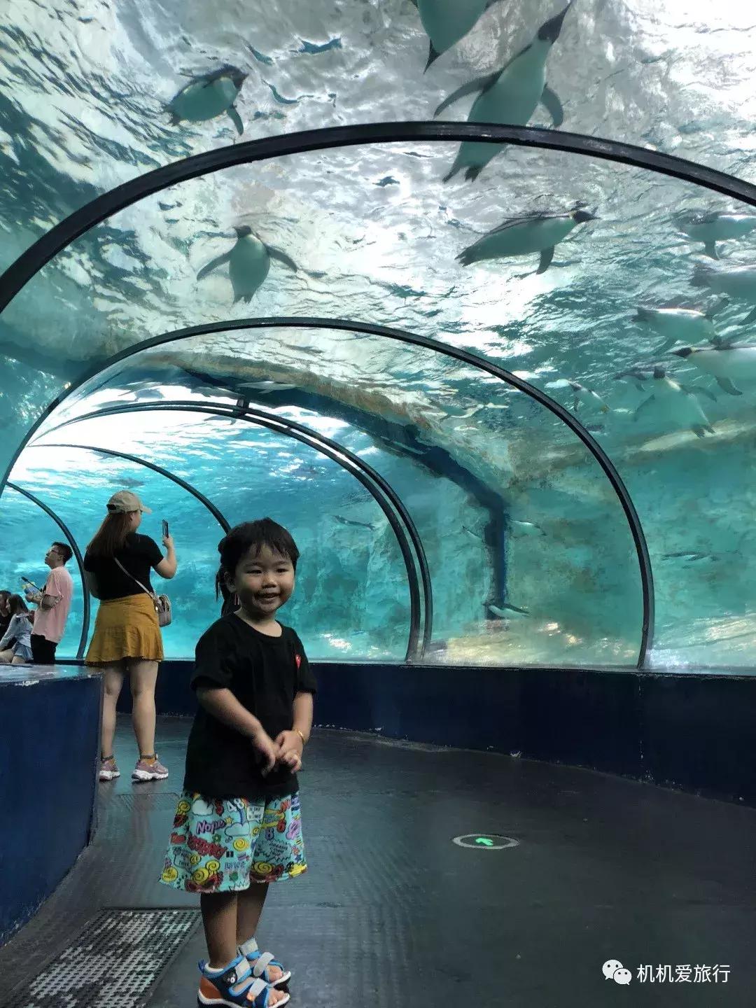 珠海和广州长隆旅游攻略,珠海长隆乐园游玩攻略