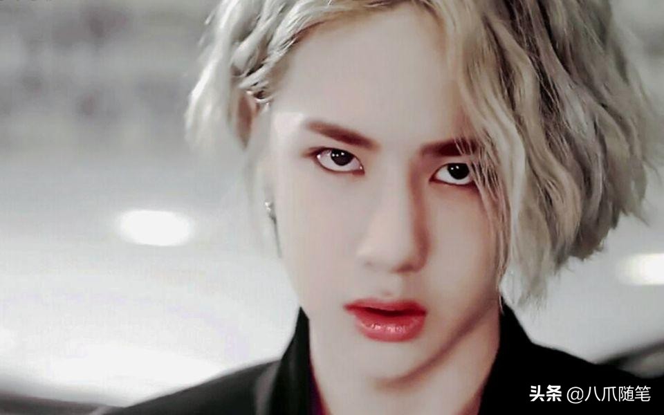 最黑的牡丹黑豹,最黑牡丹黑豹