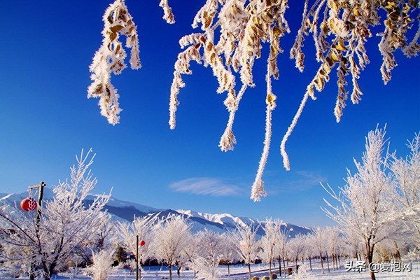 去*疆新**要注意的几件事，现在为你详细解答