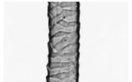 纺织纤维与面料分析介绍,天然纤维面料基础知识大全