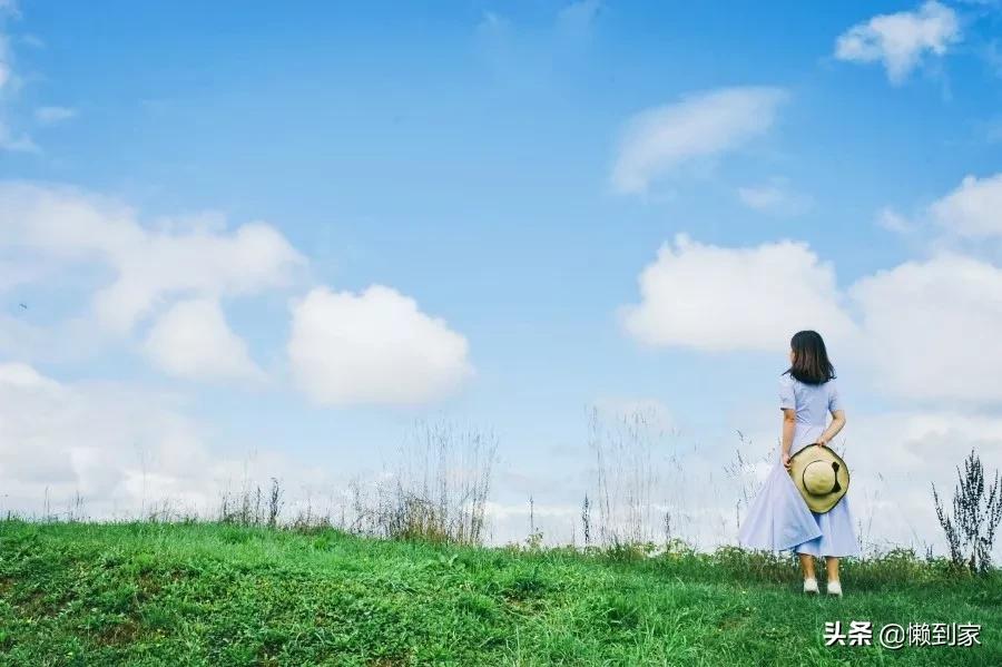 不占便宜是教养人情往来是修养吗 (不占小便宜是教养人情往来是修养)