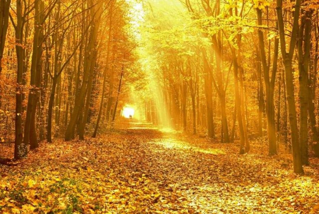 濡堝鐨勭溂鐫涘湪鍝噷,濡堝鐨勭溂闀滀笉瑙佷簡