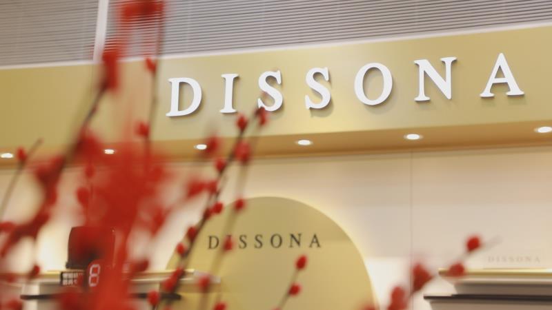 【兜知精选】Dissona迪桑娜秘印手袋，给自己的情书