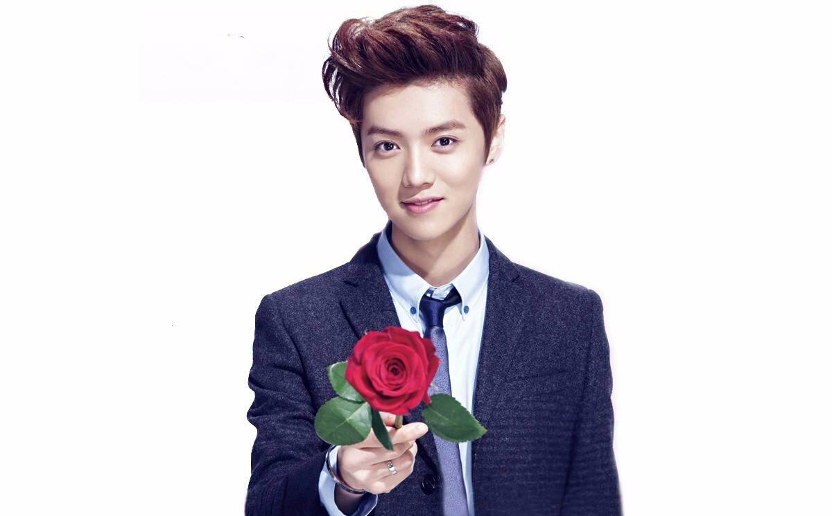 情节人送玫瑰这些话比情话更高大上，中医都给你点赞