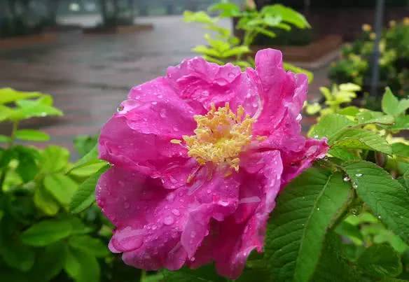 怎么用一招对付身边的小人,怎么解决小人最好的办法