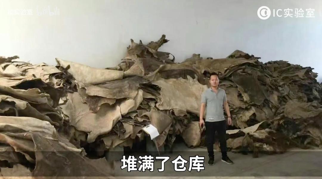 啥玩意燕窝自由？我呸