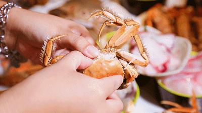 象拔蚌三文鱼鹅肝刺身拼盘,鹅肝苹果刺身