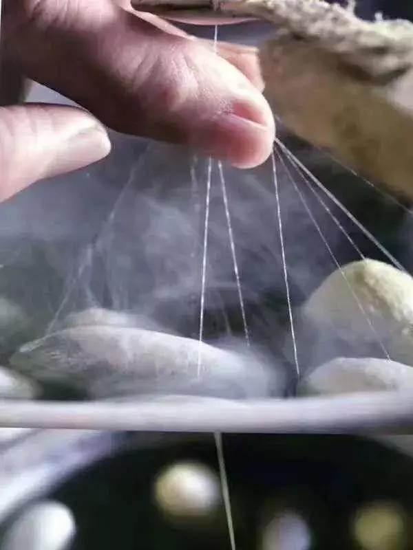 蚕丝被湿水,蚕丝被水太深怎么补救