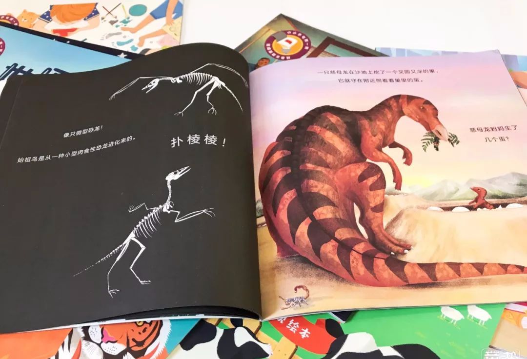 这套让娃沉迷一整天的科普书，连大人都忍不住偷着玩！畅销300万