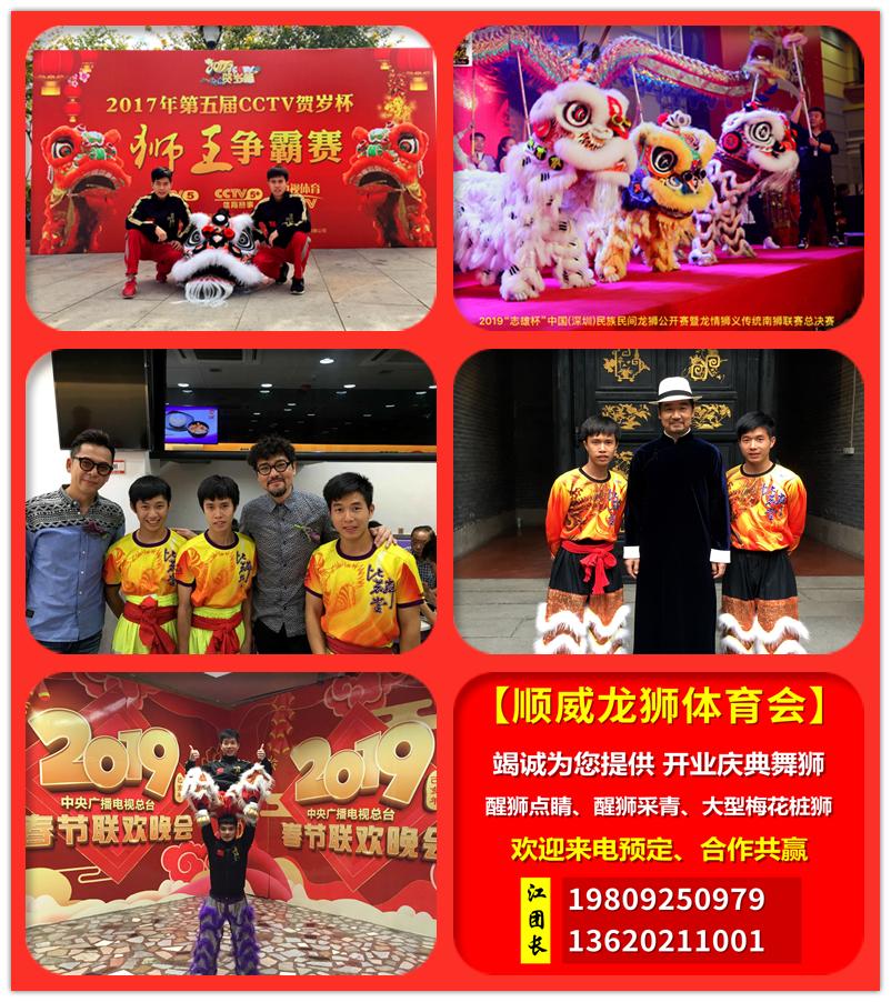 海南琼海公司开业舞狮表演多少钱?