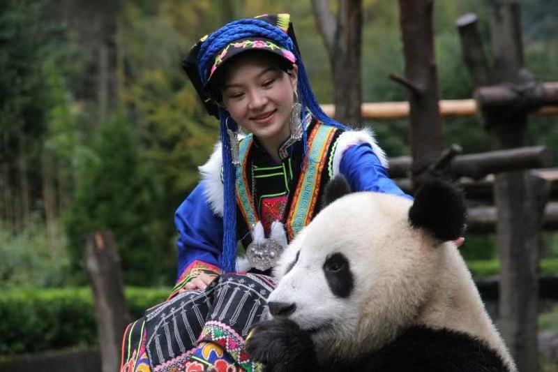 粉丝送豪宅、出画册、堵国道:曾经比丁真还火的“天仙妹妹”,15年后回看网红路,感觉读书才是最重要的