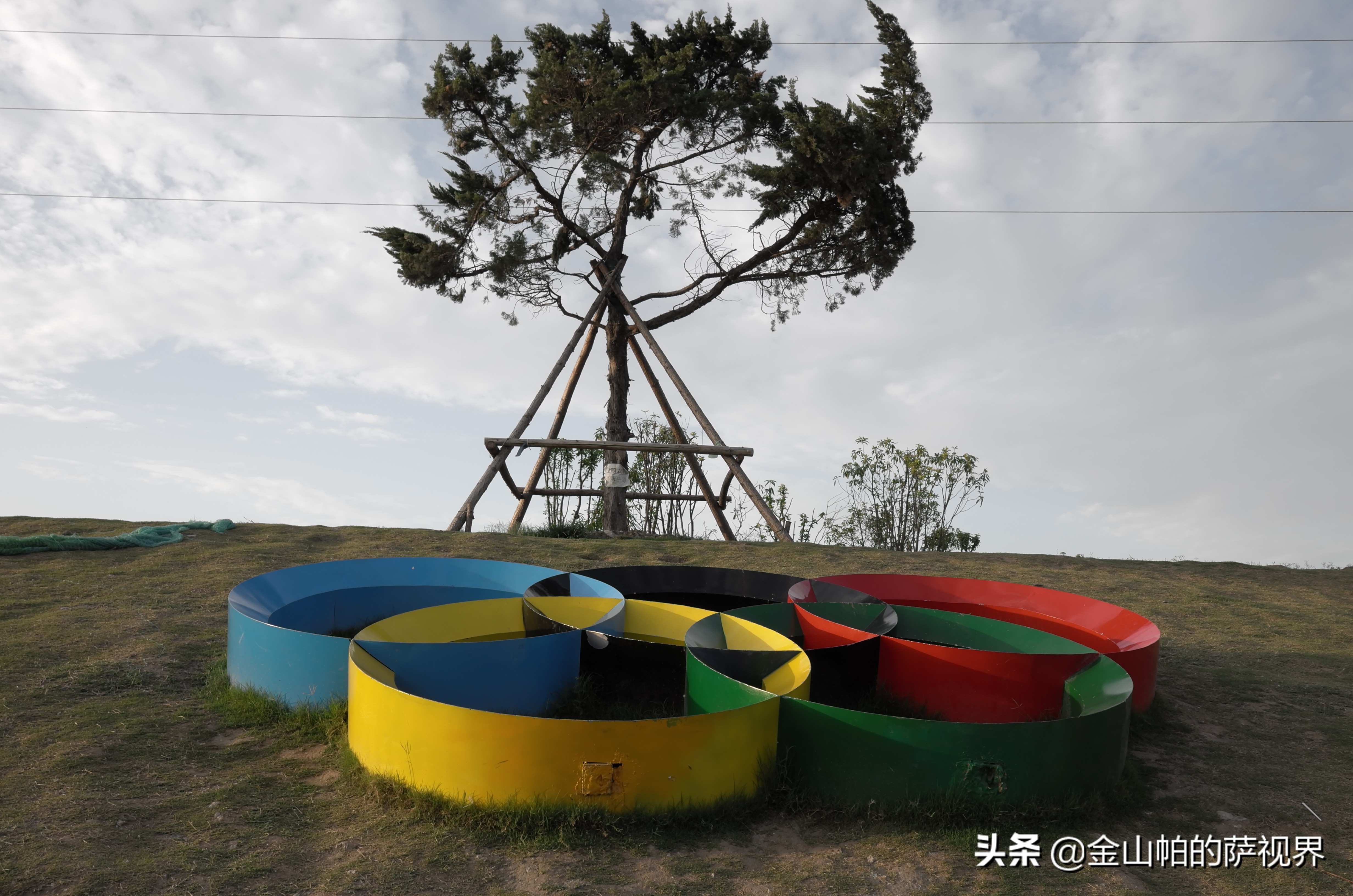 平顶山奥林匹克花园在哪,平顶山奥林匹克地址