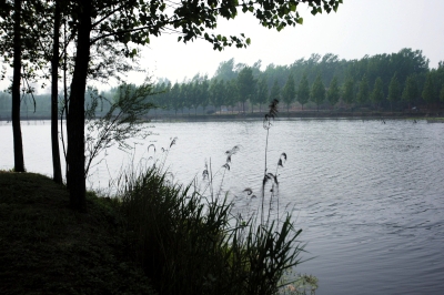 “双洎河”“溱水”及“洧水”与黄帝挑选接班人的传说