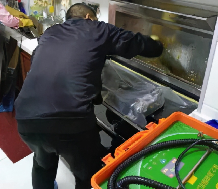 绿之源怎么用,绿之源产品怎么样