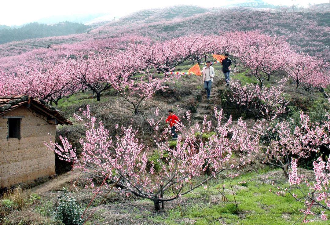 缙云旅游景点拍照攻略,缙云景区拍照攻略视频