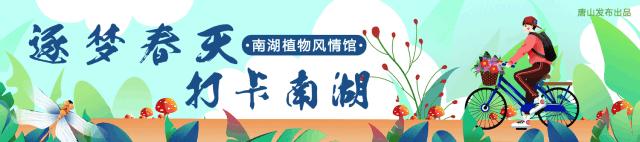 @唐山家长，这个地方将设立10所足球特色幼儿园！速看！