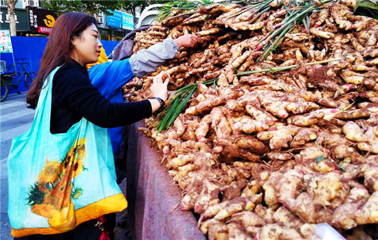 买自己家种的生姜,家里种什么品种的生姜好