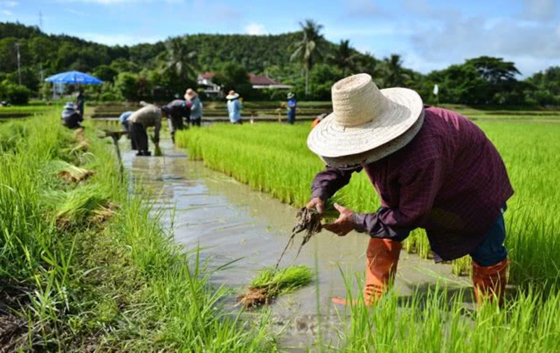 失地农民就业困难的原因,街道失地农民再就业工作