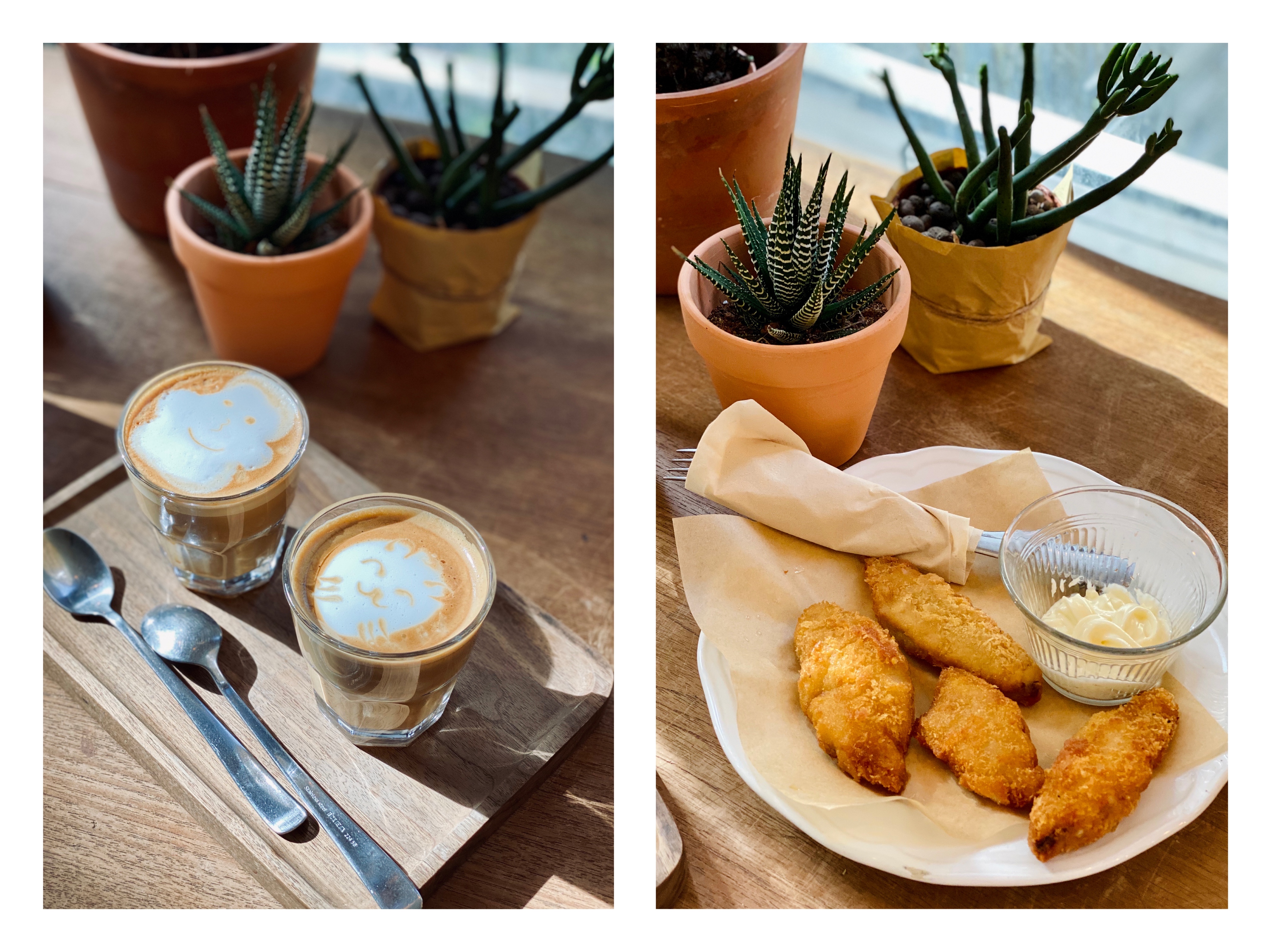 撸动物的网红店顺德,撸小动物的网红店北京世纪金源