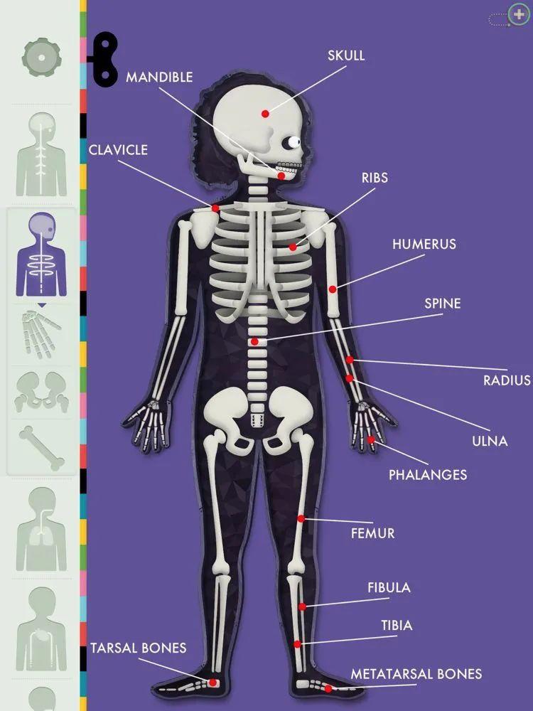 现在的玩具有多好玩,最近爆火的10款最酷的玩具