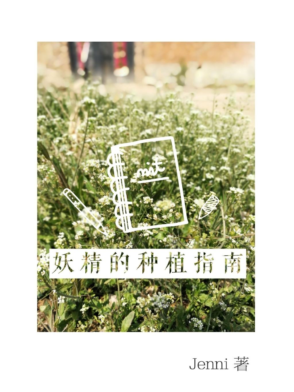 推文妖精文,推文小说一口气看完系列甜宠长篇