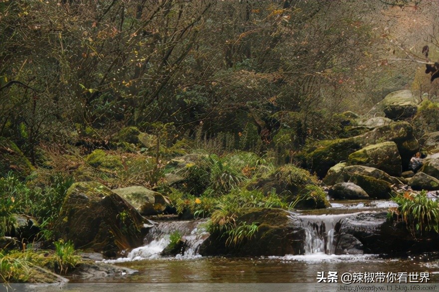 小城故事陇川,康县小城故事