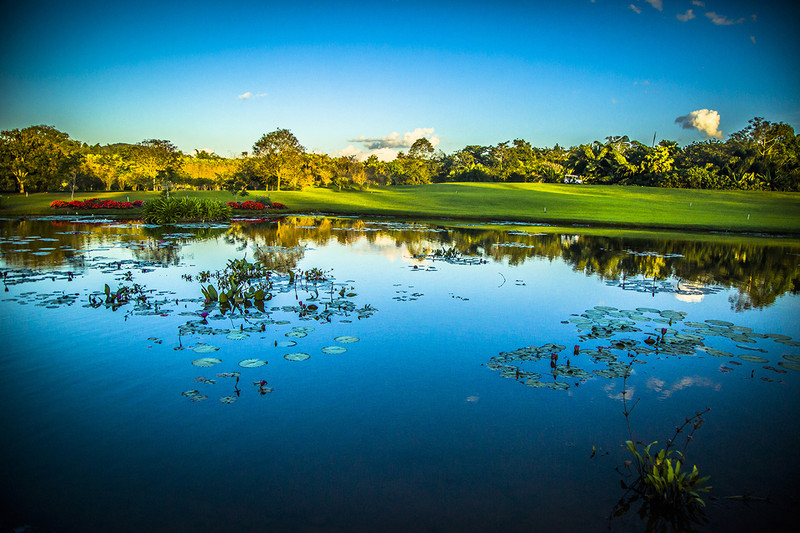 到西双版纳过大年，六日出行超详细吃，住，行攻略