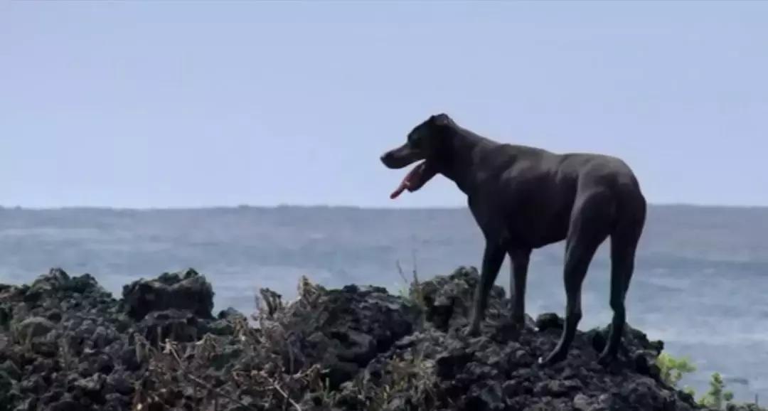 地球的另一端长什么样,地球另一端的意思
