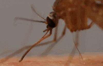 农科院研发的纯植物护肤品,农科院研究的护肤品