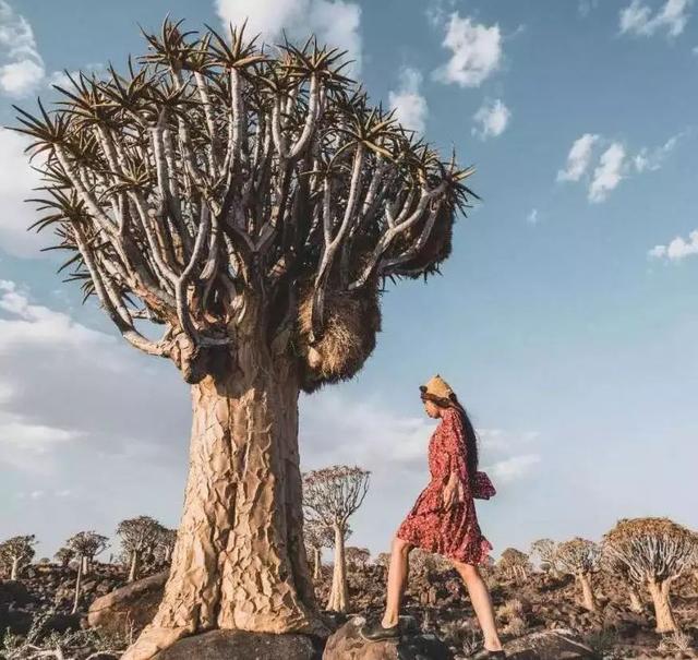 53天环游世界旅行,80天环游世界环游了哪几个国家