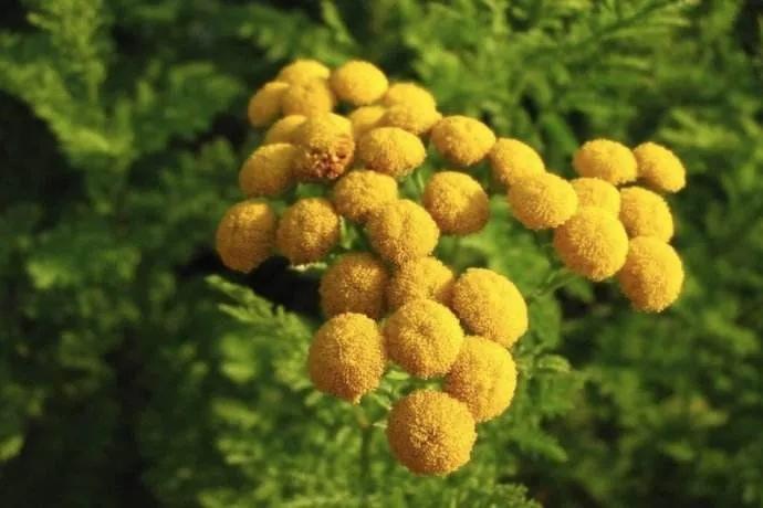 个案研习社|湿疹瘙痒难耐，“对症下药”是关键