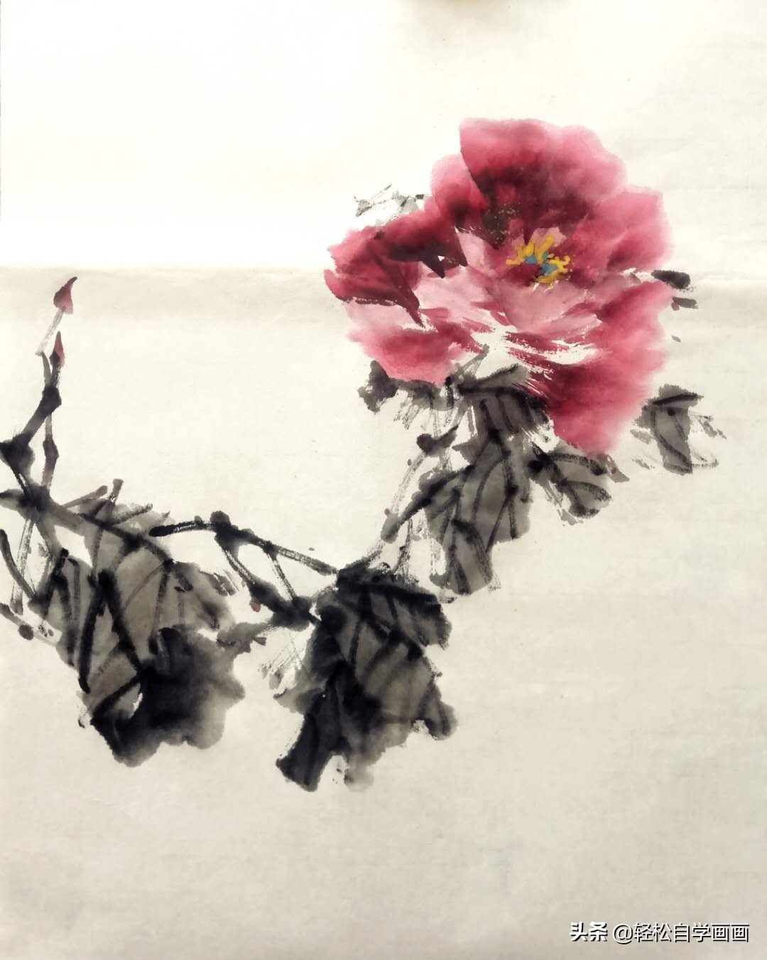 画牡丹如何加色能出层次,画牡丹调色运笔