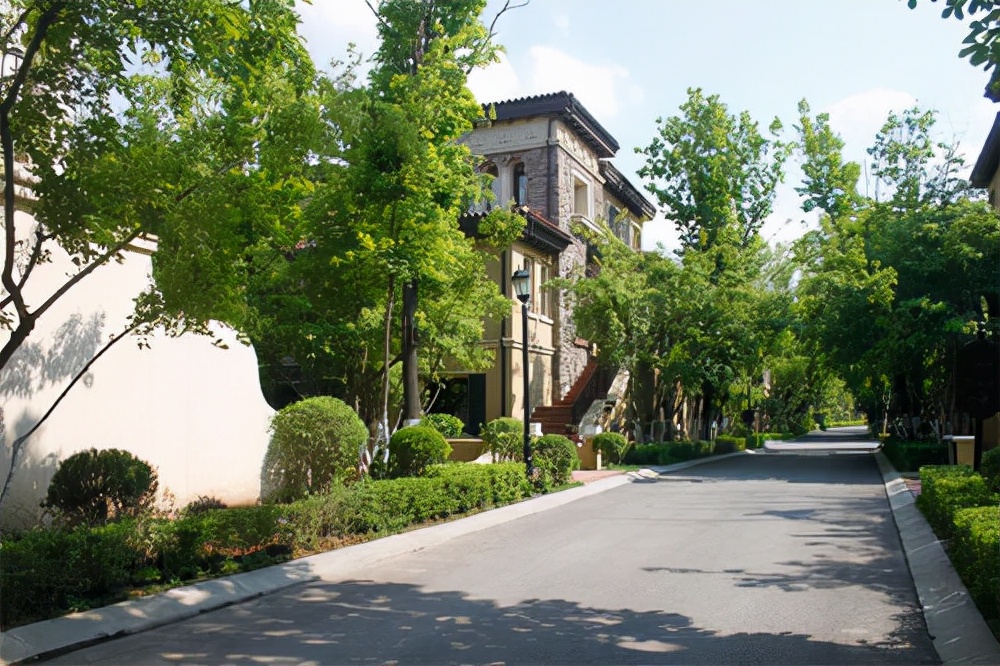 重庆女首富排第一名,重庆市女房产大亨